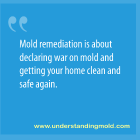 General / Basic Mold Remediation